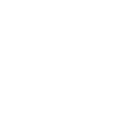 expert squad logo